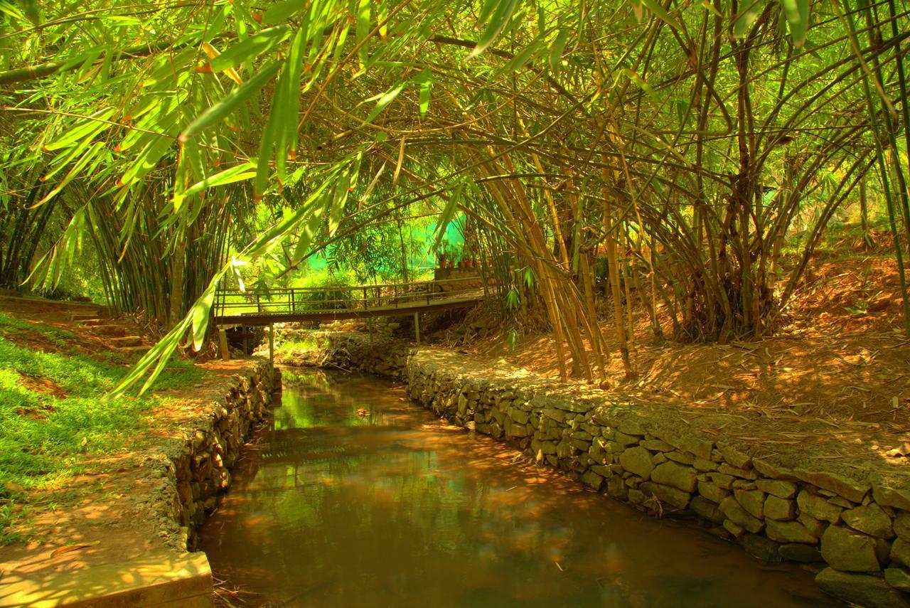 Bamboo Creek Resort Vaduvanchal Exterior photo