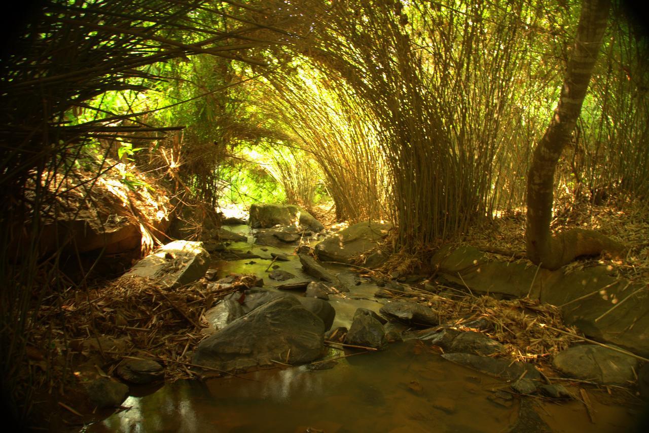 Bamboo Creek Resort Vaduvanchal Exterior photo