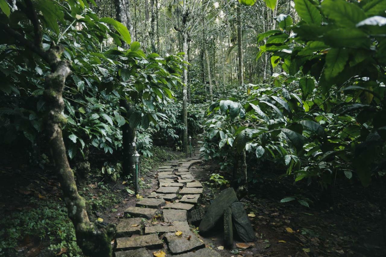 Bamboo Creek Resort Vaduvanchal Exterior photo