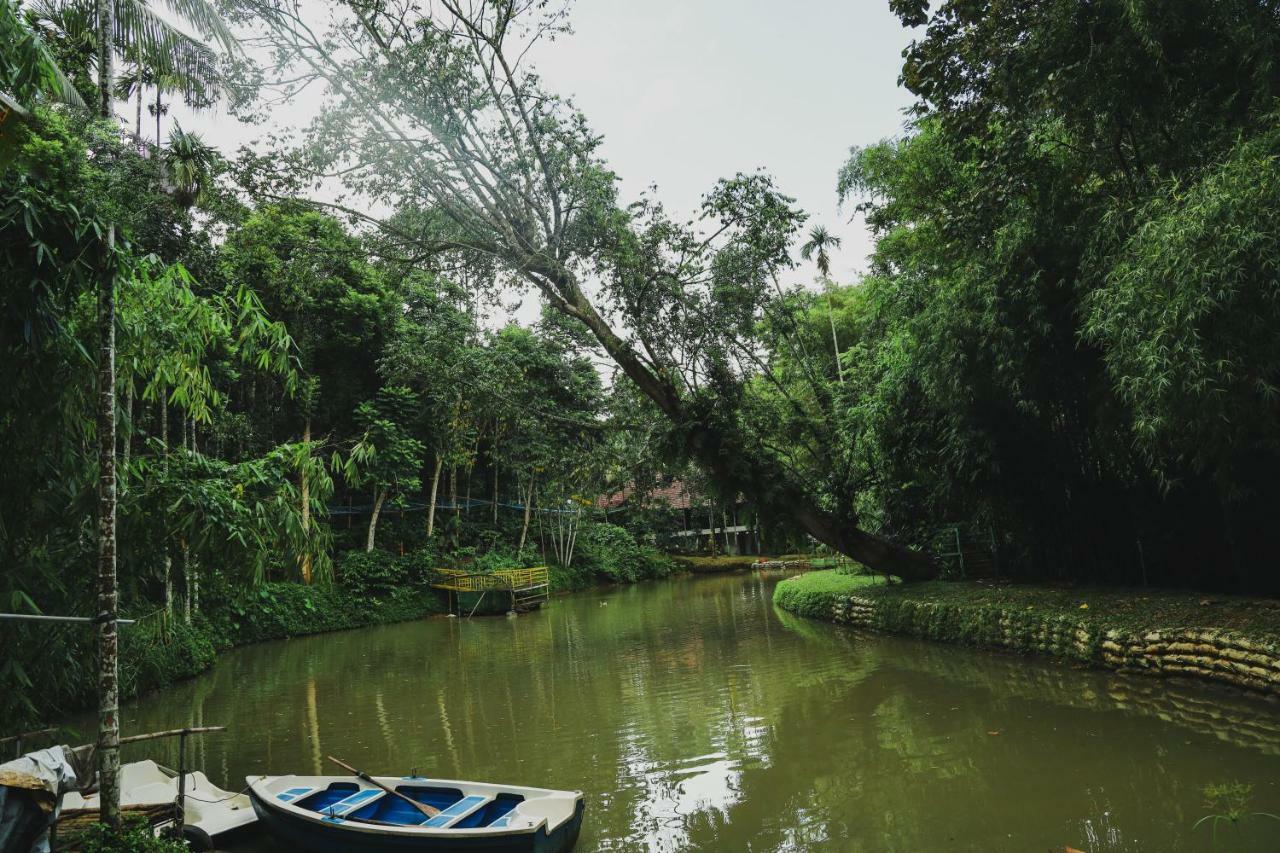 Bamboo Creek Resort Vaduvanchal Exterior photo